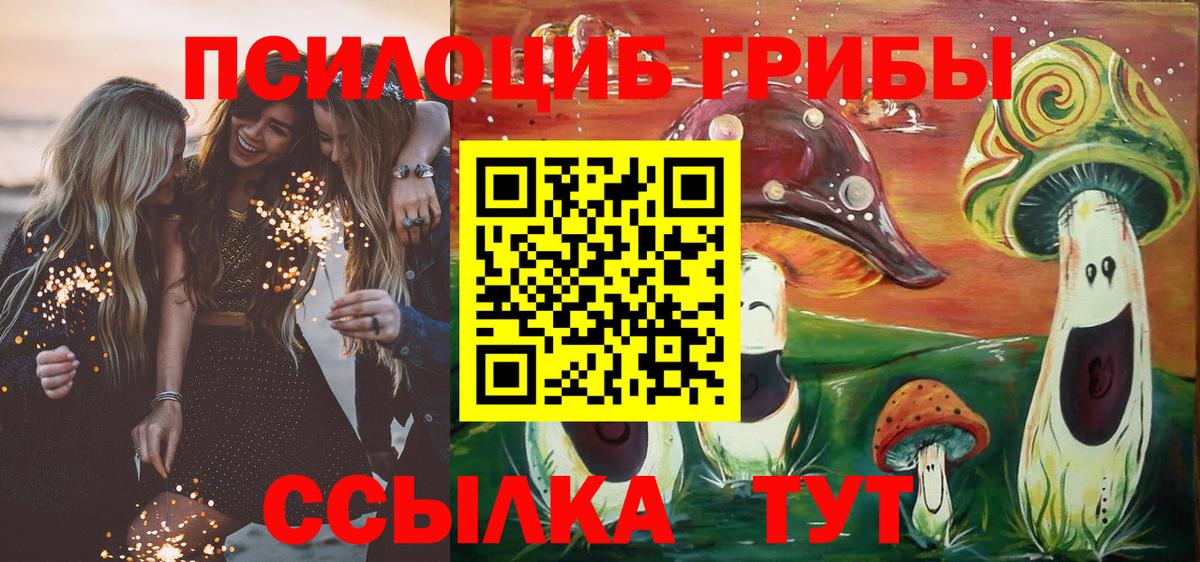 Псилоцибиновые грибы Psilocybine cubensis Зима