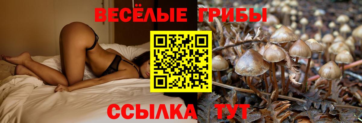 наркота  Псилоцибиновые грибы MAGIC MUSHROOMS  Вход с VPN  Галлюциногенные грибы ЛСД  Зима 